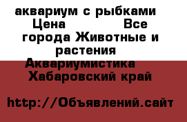 аквариум с рыбками › Цена ­ 15 000 - Все города Животные и растения » Аквариумистика   . Хабаровский край